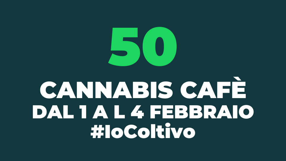 Cannabis, oltre 50 “cannabis cafè” dal 1 al 4 febbraio in tutta Italia