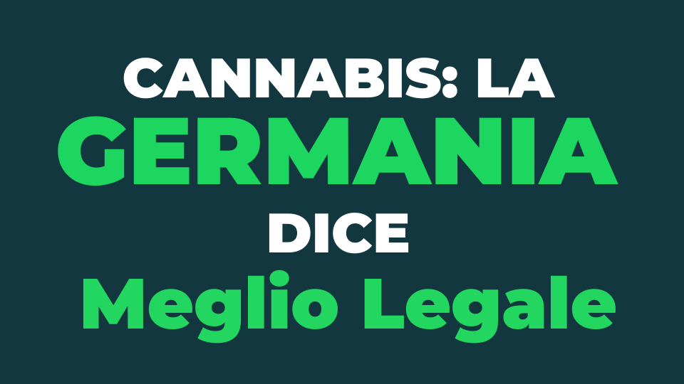 Cannabis: la Germania dice Meglio Legale